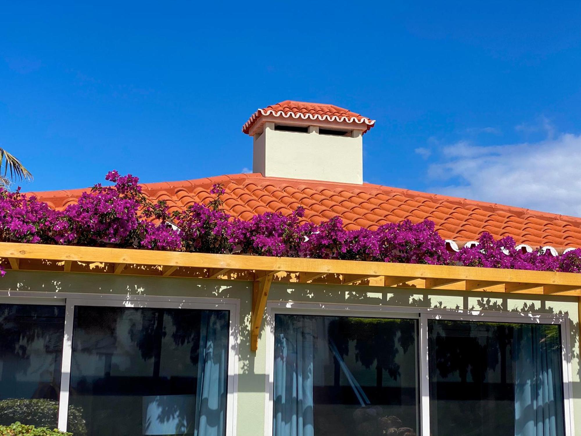 Terra Vivaz - Ribeira Cottage Ribeira Grande Exterior foto