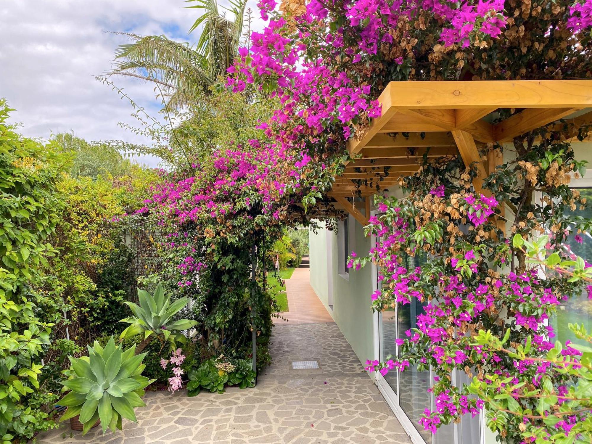 Terra Vivaz - Ribeira Cottage Ribeira Grande Exterior foto